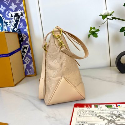 Louis Vuitton Bag — 5