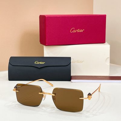 Cartier Sunglasses — 8
