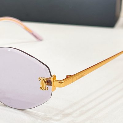 Cartier Sunglasses — 7