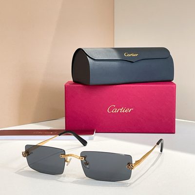 Cartier Sunglasses — 5