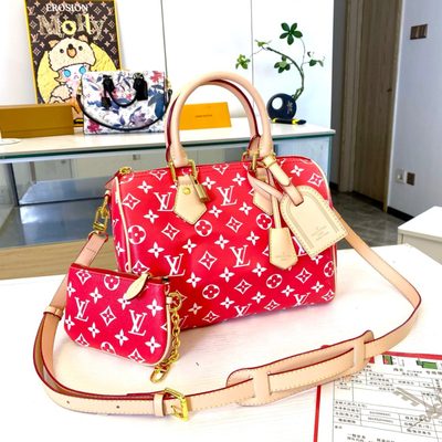 Louis Vuitton Bag — 8