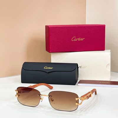 Cartier Sunglasses — 5