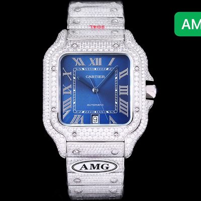 Cartier Watch