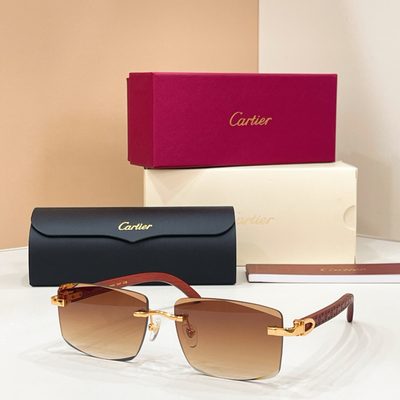 Cartier sunglasses — 5