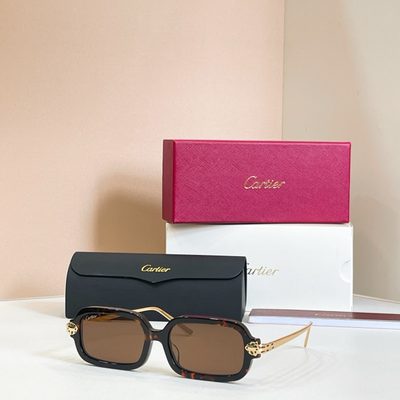 Cartier Sunglasses