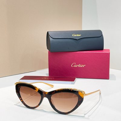 Cartier Sunglasses — 3