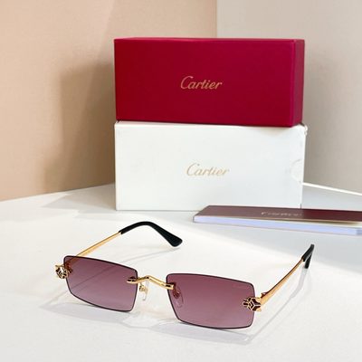 Cartier Sunglasses — 6
