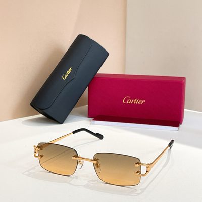 Cartier Sunglasses — 7