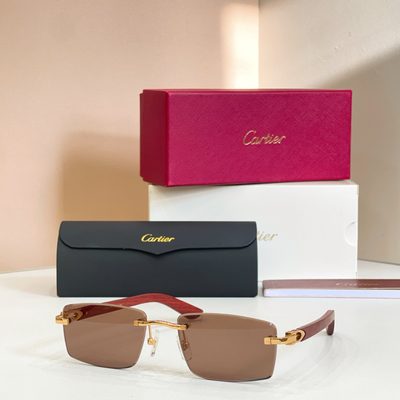 Cartier Sunglasses