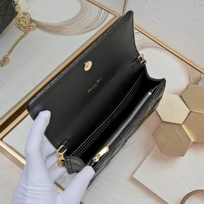 Dior Bag — 7