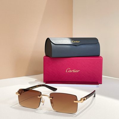 Cartier Sunglasses — 4