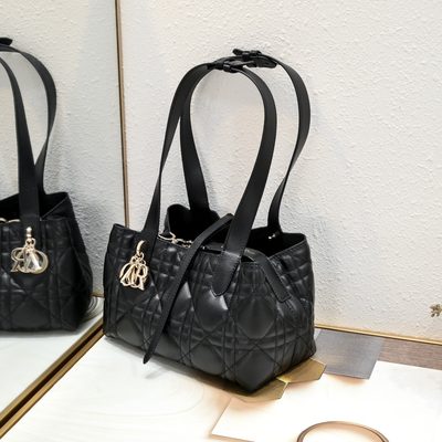 Dior Bag — 4