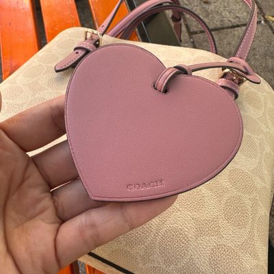 Coach Bag — 6