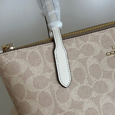 Coach Bag — 5