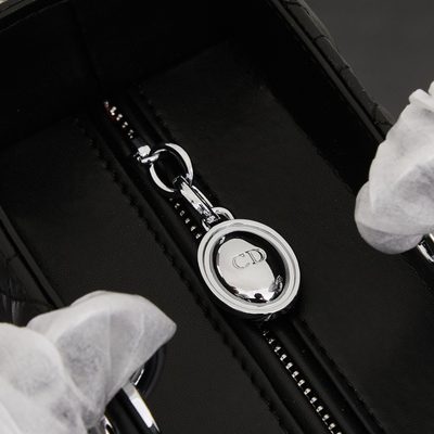 Dior Bag — 8