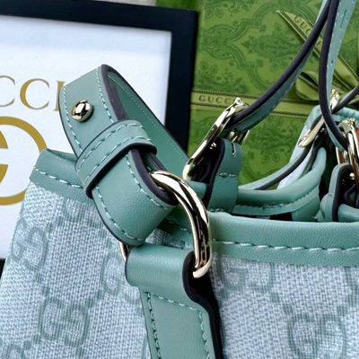 Gucci Bag — 6