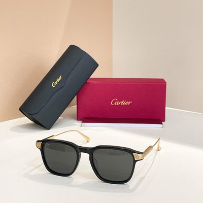 Cartier Sunglasses — 3