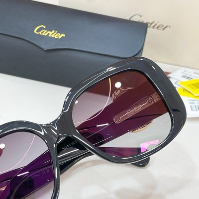 Cartier Sunglasses — 7