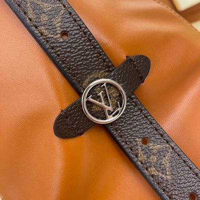 Louis Vuitton Bag — 6