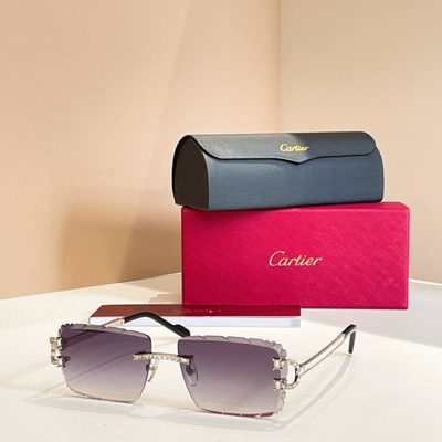 Cartier Sunglasses — 6