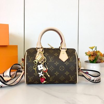 Louis Vuitton Bag
