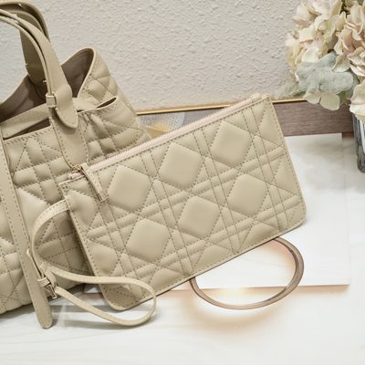 Dior Bag — 5