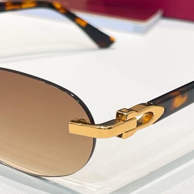 Cartier Sunglasses — 9