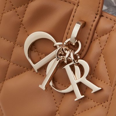 Dior Bag — 6