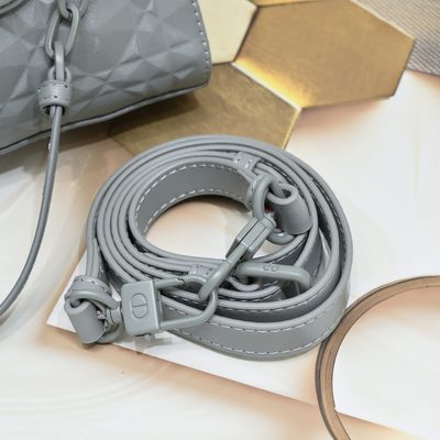 Dior Bag — 5