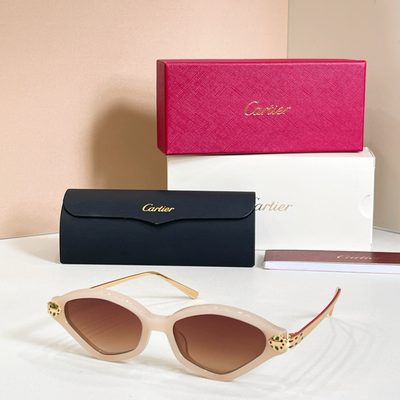 Cartier Sunglasses — 6