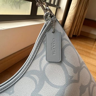 Coach Bag — 6