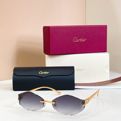Cartier Sunglasses — 4