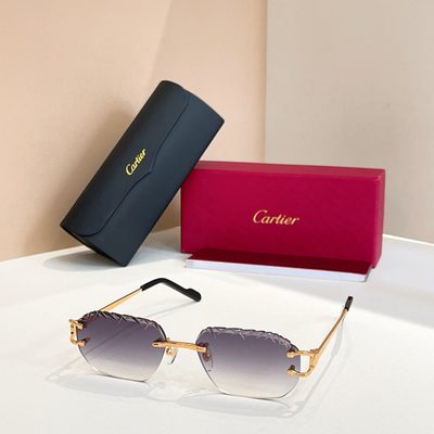 Cartier Sunglasses — 5
