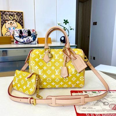 Louis Vuitton Bag