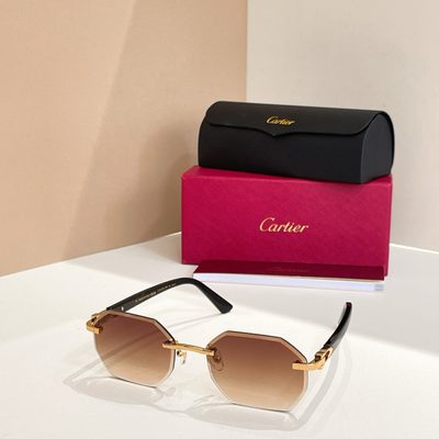 Cartier Sunglasses — 7