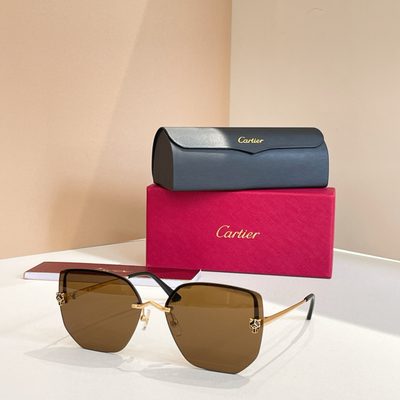 Cartier Sunglasses — 3