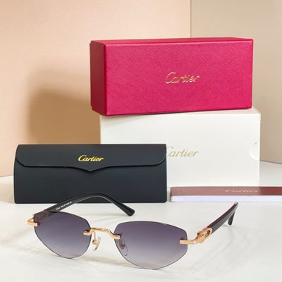 Cartier Sunglasses — 5