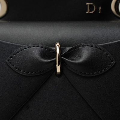 Dior Bag — 4