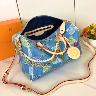 Louis Vuitton Bag — 7