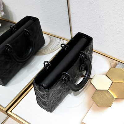 Dior Bag — 4