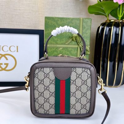 Gucci Bag — 4