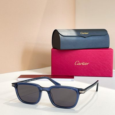 Cartier Sunglasses — 8
