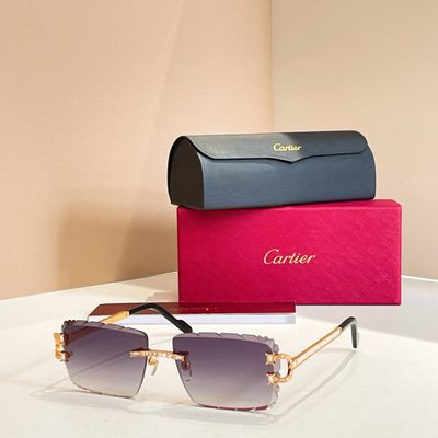 Cartier Sunglasses — 4