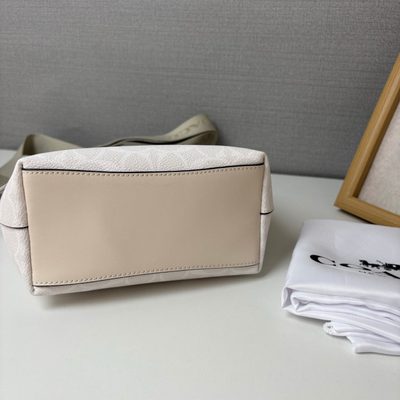 Coach Bag — 6