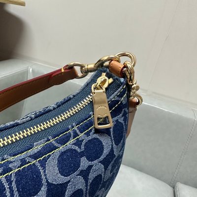 Coach Bag — 11