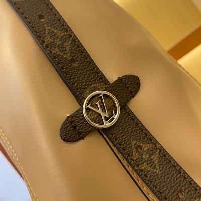 Louis Vuitton Bag — 6