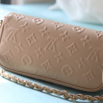 Louis Vuitton Bag — 5