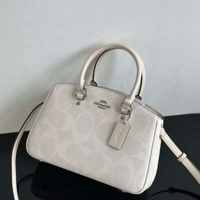 Coach Bag — 3