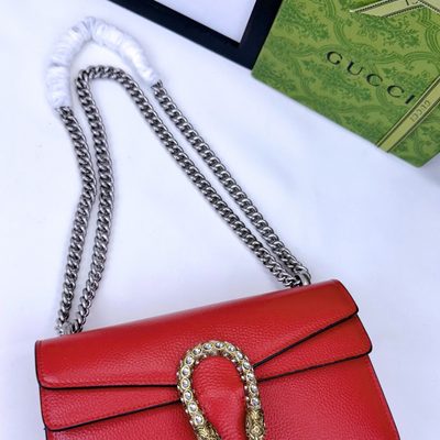 Gucci Bag — 6