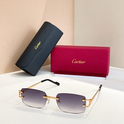 Cartier Sunglasses — 4